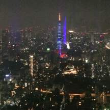 The view from Mori Tower... it was a rainy, overcast night, but the view was still striking!