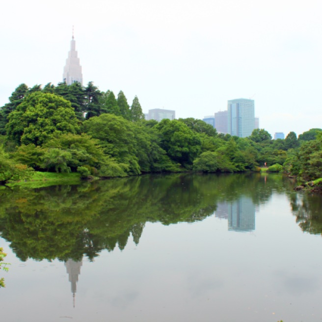Tokyo reflections at Shinjuku Gardens