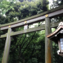 Meiji Jingu, Shinto shrine